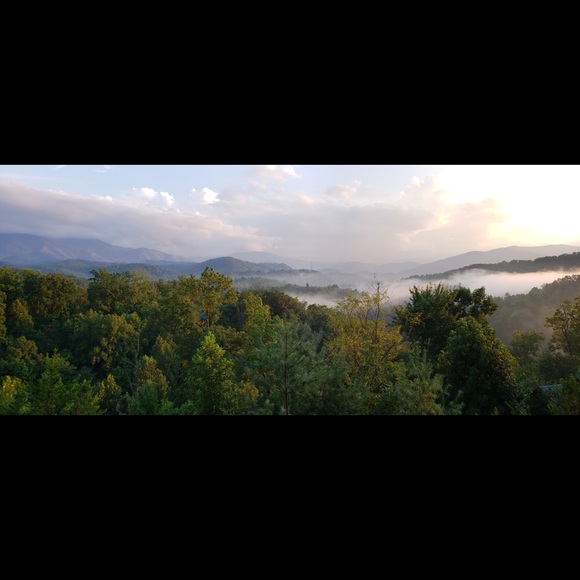 Meet your Posher, Andrew - Picture 1 of 1